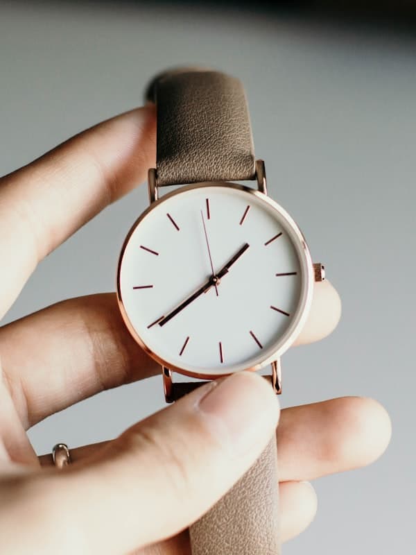 Swiss Alpine Watch